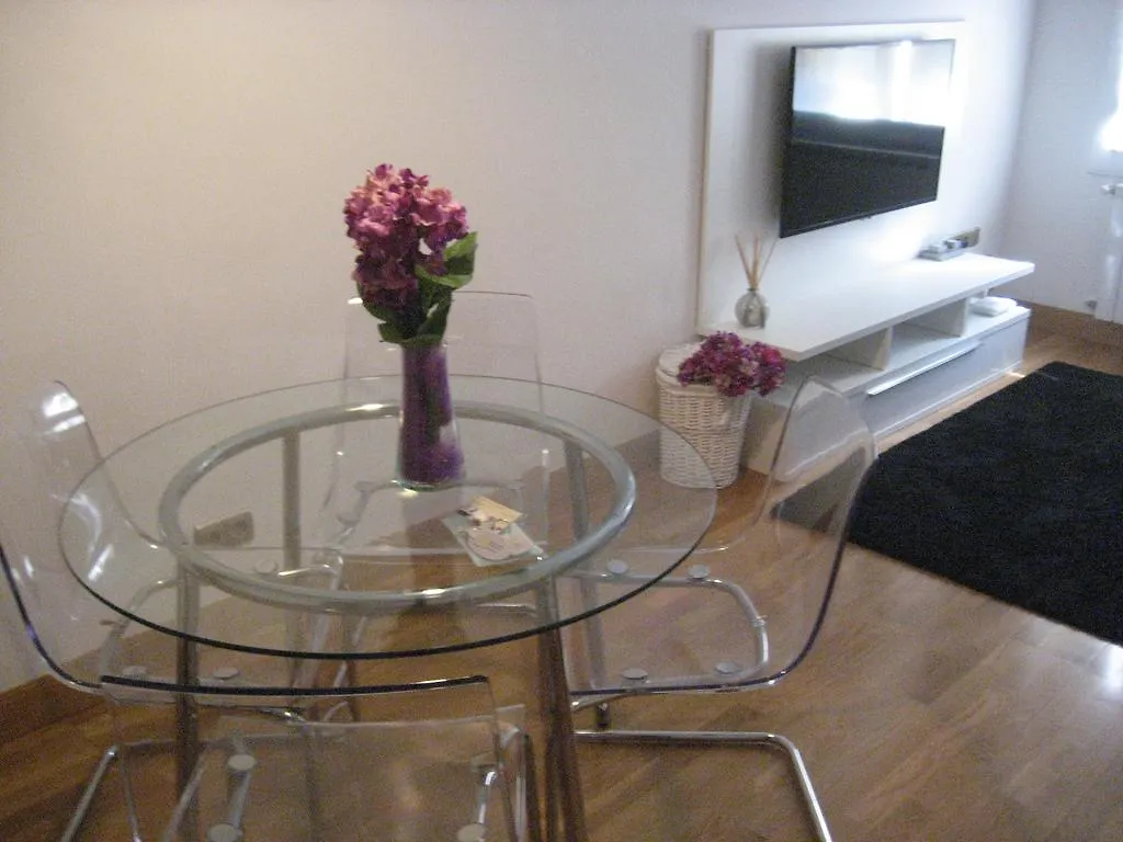 Concha Centro Apartment San Sebastian Spain